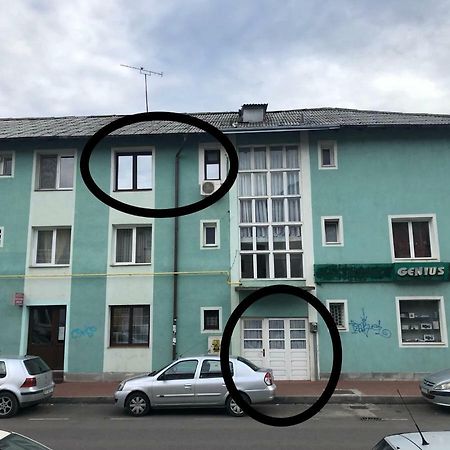 Vintage Apartment Suczawa Zewnętrze zdjęcie